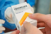 卡度尼利单抗 Candonilimab 用药说明书_规格适应症 肿瘤临床用药指导