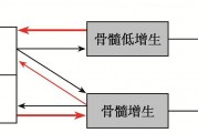 白血病群资讯,白血病患者的早期分类