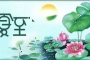 夏至节气肿瘤患者如何应对饮食注意什么？