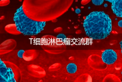 发现t细胞淋巴瘤交流群，与志同道合的人一起分享经验