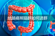 结肠癌熊猫群如何进群,结肠癌病友群如何加入