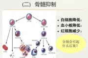 癌症患者化疗骨髓抑制，红白细胞降低怎么办？