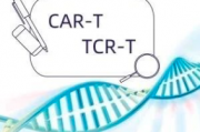 car-t和tcr-t哪个方法更好,car-t和tcr-t有何区别