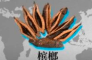 槟榔会导致口腔癌，有什么健康危害？