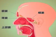 加入我们：上颌窦肿瘤互助交流群