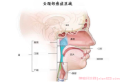 头颈癌患者群：口腔癌，舌癌、牙龈癌、颊癌欢迎加入