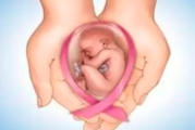 癌症病人如何生孩子？癌症患者生育力保存指南
