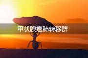 甲状腺癌肺转移群：寻找希望与抚慰心灵的家园