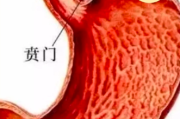 贲门癌化疗后肝功能恢复困难，是否可以考虑其他治疗？