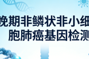 2026 晚期非鳞状非小细胞肺癌基因检测指南：ESCAT 分级与匹配药物全解析
