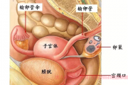 宫颈癌患者康复交流群，宫颈癌术后子宫摘除后要化疗几次?