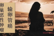输卵管癌晚期，肝转移，化疗+肿瘤消融治疗可以中西结合治疗吗