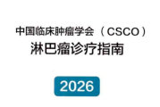2026CSCO淋巴瘤诊疗指南在线阅读，速览目录核心更新要点
