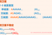 子宫内膜群聊问答,微卫星高度不稳定能免疫治疗吗？