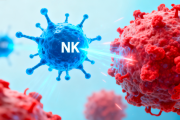肿瘤NK细胞免疫疗法原理、优势、研究进展及未来应用前景
