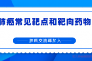 肺腺癌交流群微信,非小细胞肺癌常见靶点和靶向药物