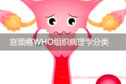 宫颈癌WHO组织病理学分类，深入理解宫颈癌的组织学变化