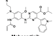 莫博赛替尼(Mobocertinib)说明书_适应症_合理用药要点