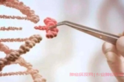 甲状腺肿瘤手术风险大吗：全面解析手术风险的真相