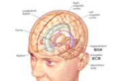 脑瘤生殖细胞瘤病友交流群，携手共同抗癌吧