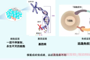 什么是肿瘤基因检测？哪些肿瘤患者和家属需要做基因检测？