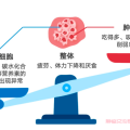 肿瘤患者化疗期间饮食指南,化疗后饮食应注意什么?