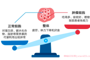 肿瘤患者化疗期间饮食指南,化疗后饮食应注意什么?