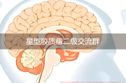 星型胶质瘤二级交流群，医疗与心理双重支持