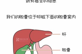 胆管癌交流微信群 胆囊癌群 癌症病友群 全国肿瘤微信群 患者家属抗癌交流群 胆管癌交流微信群 胆囊癌群 癌症病友群 全国肿瘤微信群 患者家属抗癌交流群