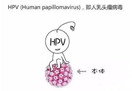 HPV感染与癌症