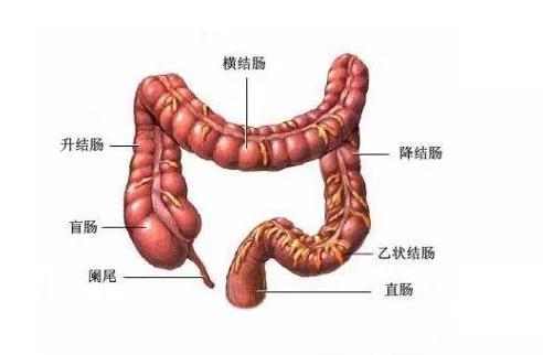 便血是痔疮还是肠癌