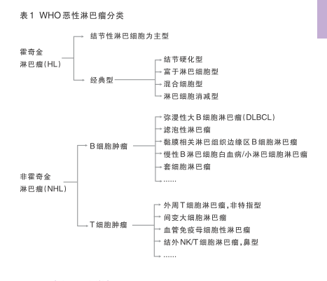 淋巴瘤分类