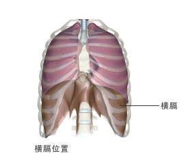 淋巴瘤分类