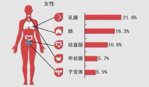 乳腺癌治愈