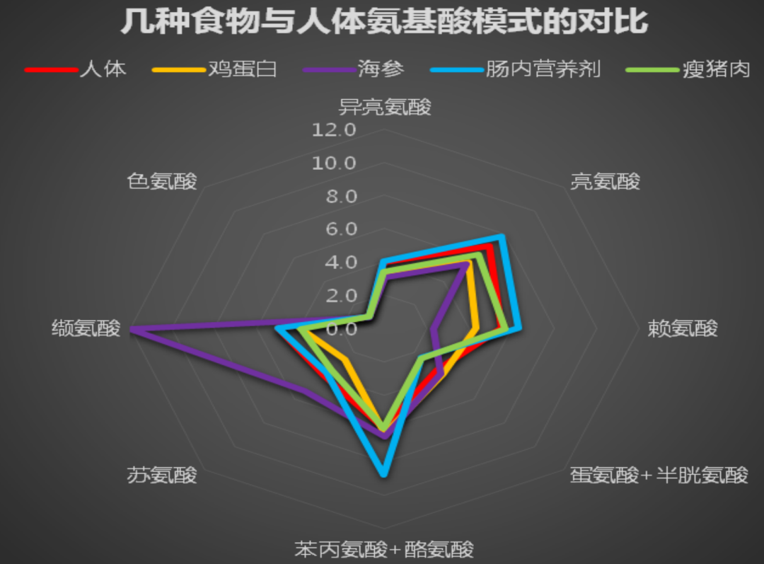 常见食物与人体氨基酸模式的对比