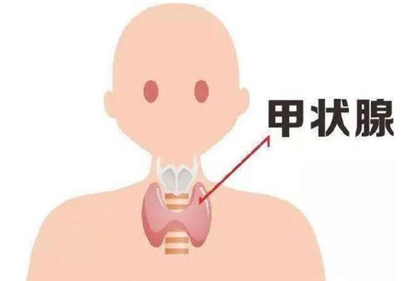 甲状腺结节,甲状腺囊实性结节