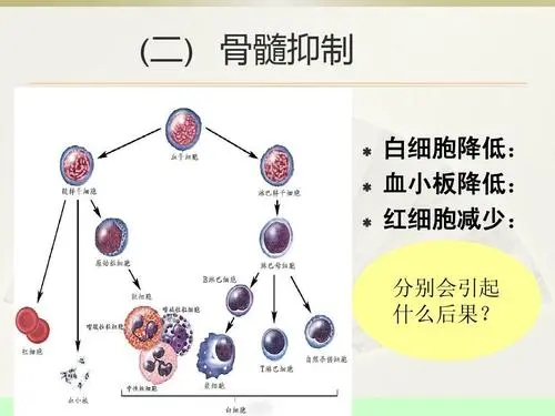 癌症患者化疗骨髓抑制