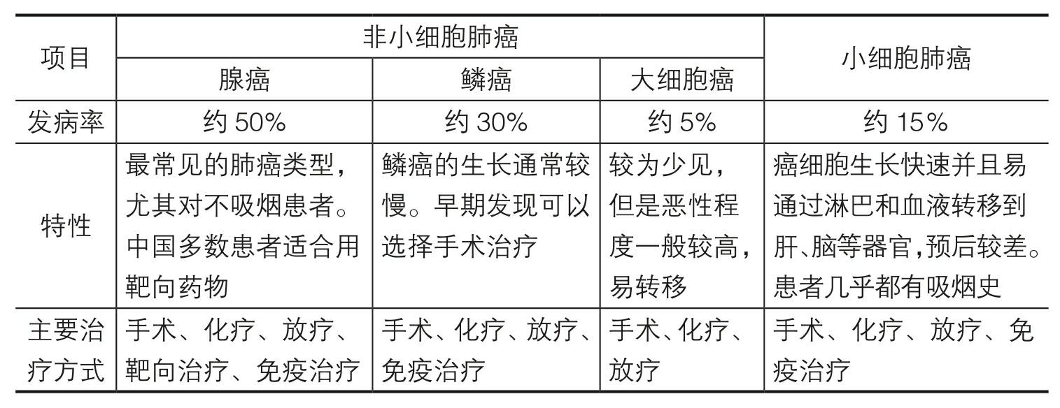 肺癌的分类,非小细胞肺癌和小细胞肺癌