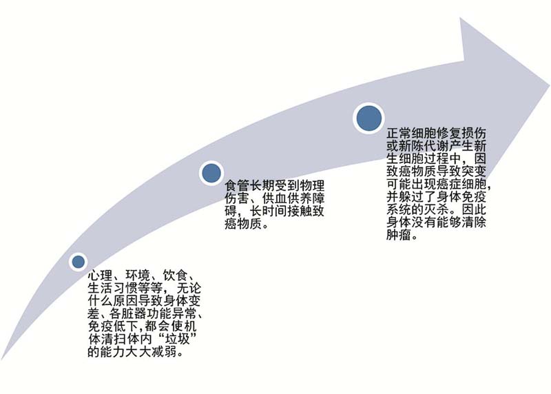 食道癌发生的可能机制