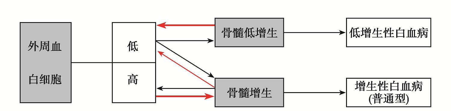白血病分类