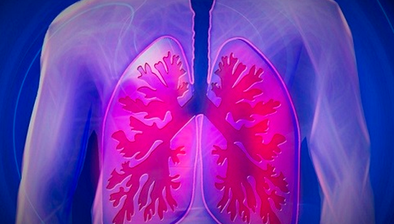 肺鳞癌靶向药