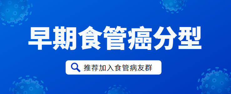 早期食管癌分型