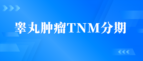 睾丸肿瘤TNM分期