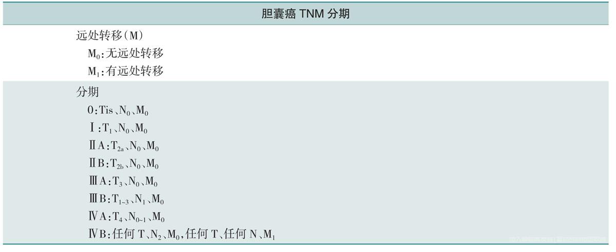 胆囊癌tnm分期
