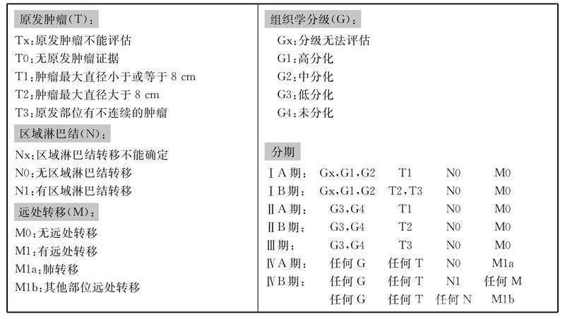骨肉瘤TNM分期系统