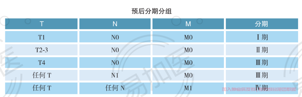 神经内分泌瘤TNM分期