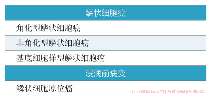 2015版WHO肺鳞癌分类