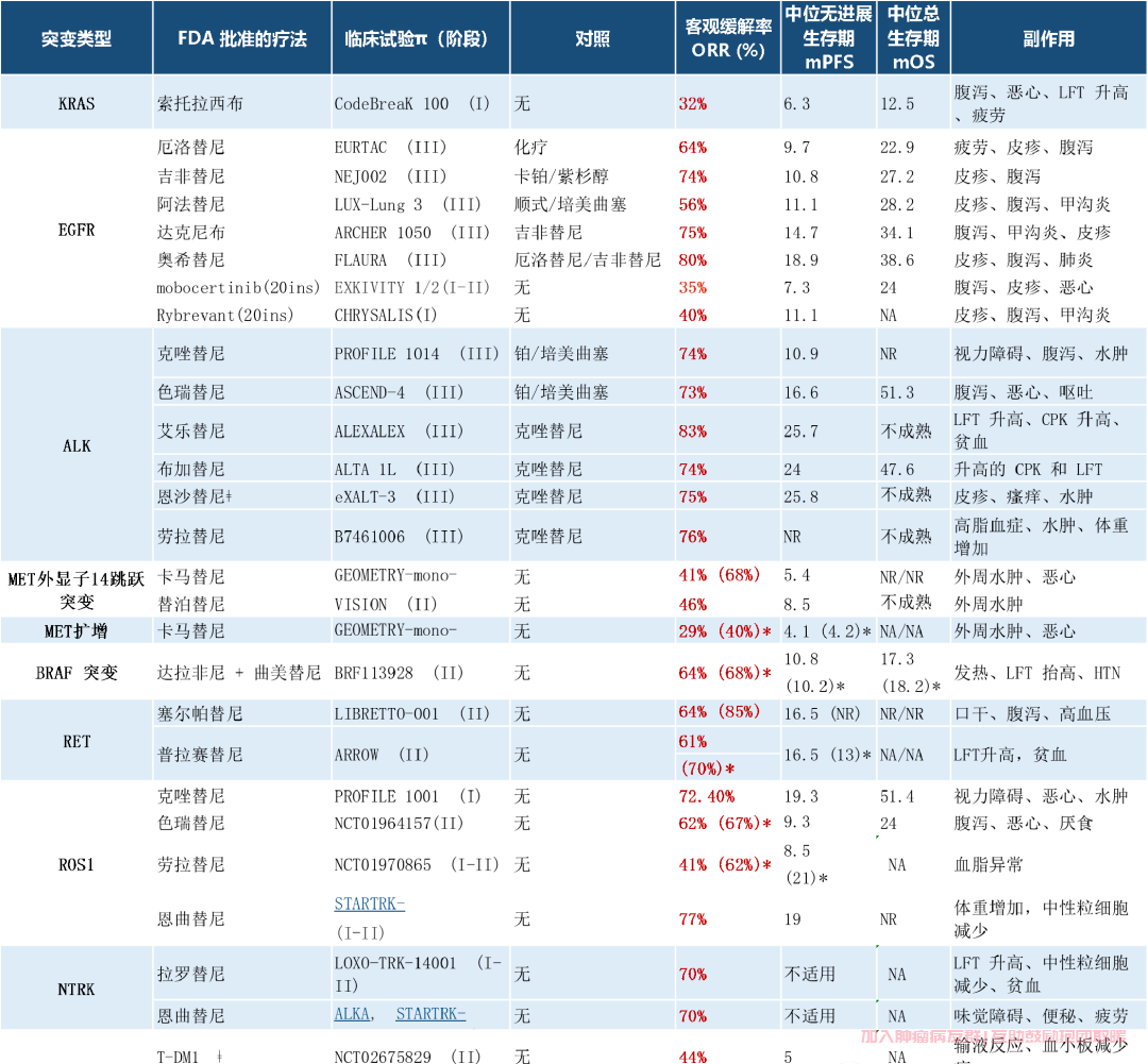 肺癌批准的免疫药和靶向药