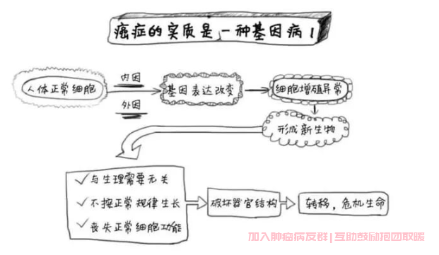 癌症基因检测