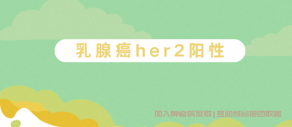 her2阳性乳腺癌